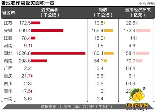 超40万公顷农作物因灾绝收 粮价暂未受冲击