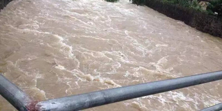 听听来自受灾一线养猪人的声音！