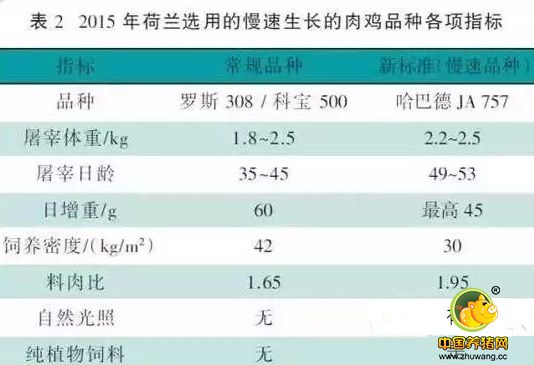 欧洲饲料禁抗十年 中国该学什么？