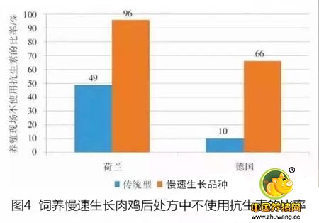 欧洲饲料禁抗十年 中国该学什么？