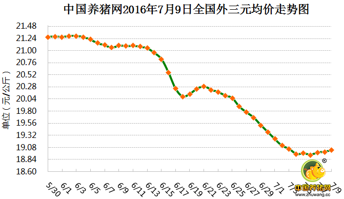 南北猪价出现差异 洪涝利好南方猪价