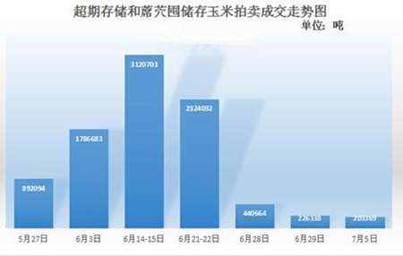 聚焦8月国储玉米拍卖季