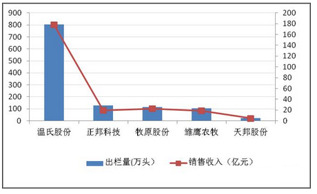 今年猪价大涨 谁养猪养得最多?钱赚的最多?