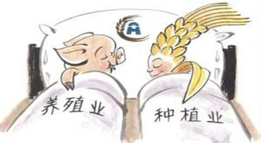 养殖业将迎来“大风暴” 这些机会你要把握好!