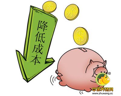 猪场成本方面的几大管理问题浅析