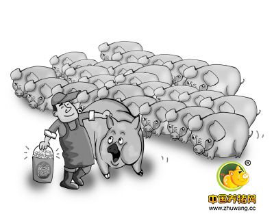 重庆一男子盗窃生猪 车辆抛锚连车带猪弃路边