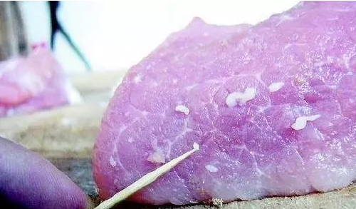 生猪屠宰夜间检疫的鉴别方法