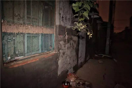 邢台水灾严重 临近地区养殖户朋友做好预防