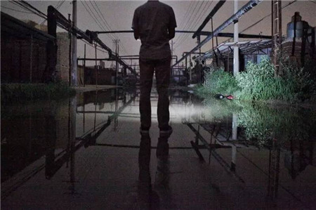 邢台水灾严重 临近地区养殖户朋友做好预防