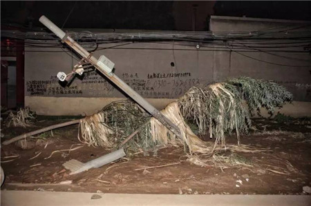 邢台水灾严重 临近地区养殖户朋友做好预防