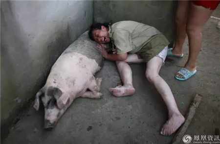 心碎！千头生猪被洪水冲走大半 养殖户抱着小猪痛哭