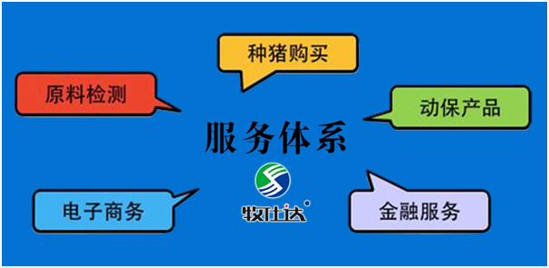 牧仕达电商模式落地邯郸，实现规模复制