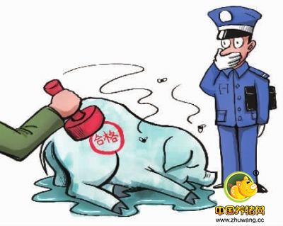 检疫证明竟如此儿戏!湘西病死猪制腊肉案内幕曝光