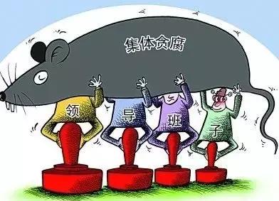 为啥猪肉进口屡创新高？洪灾到底冲毁了多少猪场？