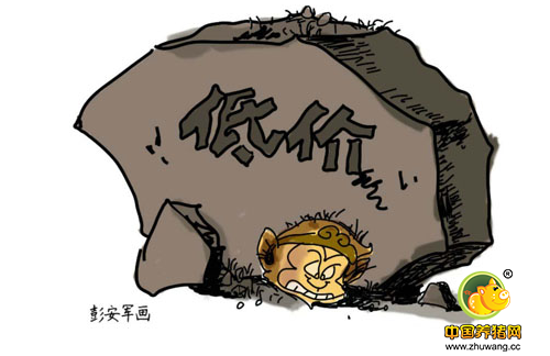 屠企套路这么多,难怪养猪人玩不过……