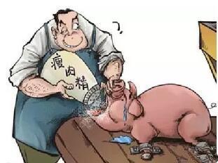 农业部:一律销毁含“瘦肉精”的生猪