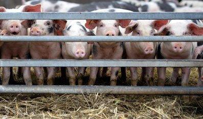 老板的忧伤与欣慰：只要人在一切可以重来