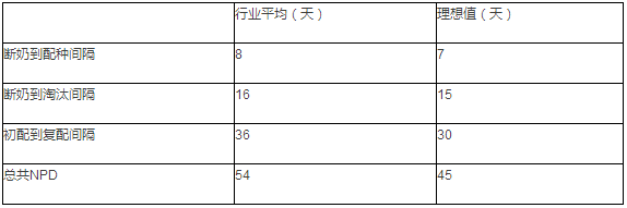 母猪非生产天数很重要，莫让母猪“带薪休假”