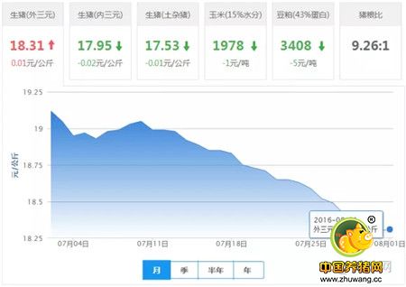 难怪养猪人赚不到钱！原来猪贩子竟然......