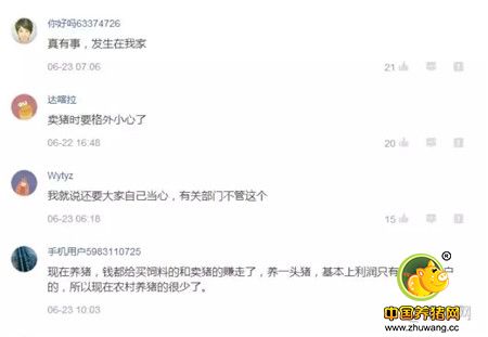 难怪养猪人赚不到钱！原来猪贩子竟然......