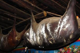 猪肉悬挂可达30年 美味“臭猪肉”待客最高礼节