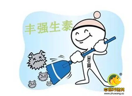 夏季仔猪腹泻的原因分析及防控方案