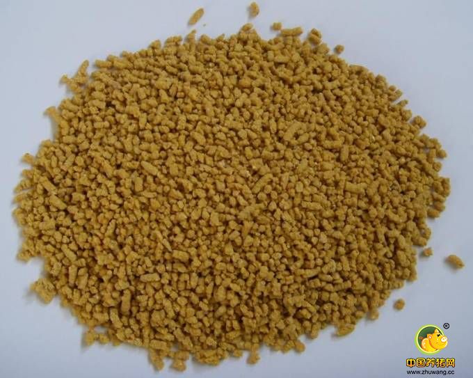 使用教槽料喂猪的好处