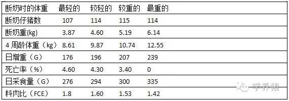 保育猪，70天70斤怎么达到？