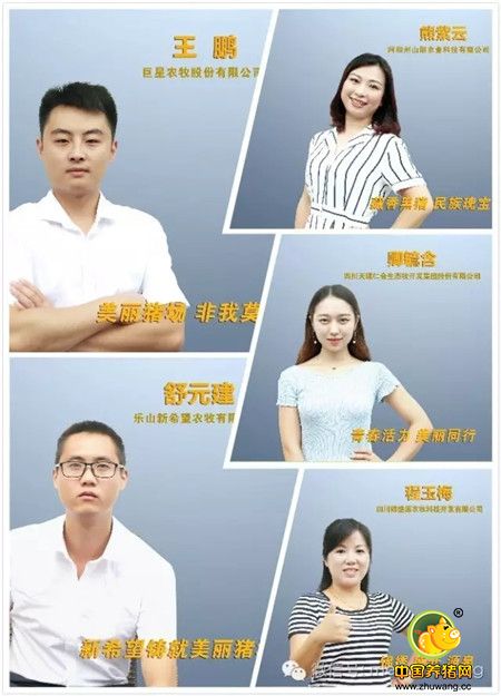 聚焦西部养猪新力量 “安佑杯”2016寻找中国美丽猪场西部赛区PK赛于蓉城成功举办!