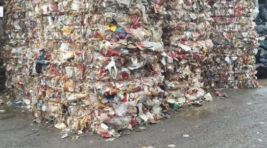 上海多地餐厨垃圾违规卖给养殖场 喂猪吃肯德基