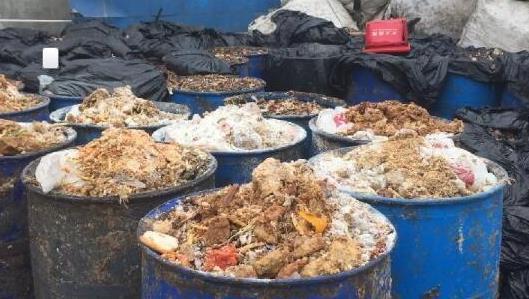 上海多地餐厨垃圾违规卖给养殖场 喂猪吃肯德基