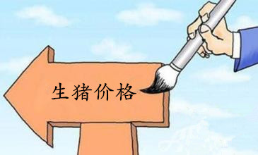 猪价反弹只是暂时的？大趋势是缓慢回落？
