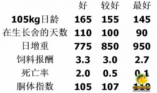 生长育肥猪的管理总结