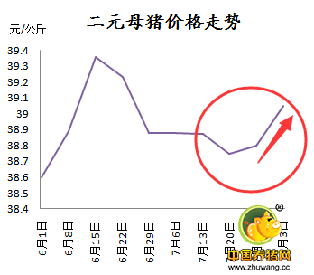 二元母猪仍在涨，这是后期仍要看好的节奏？