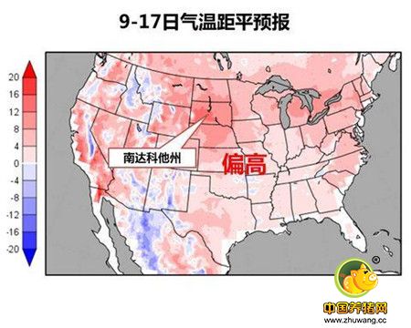 玉米熊途中的天气炒作 结合图表分析玉米行情