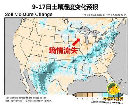 玉米熊途中的天气炒作 结合图表分析玉米行情