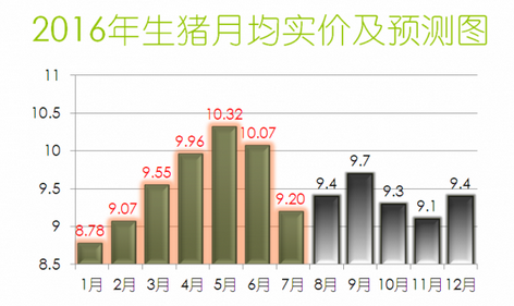 “猪周期”顶峰已过 但仍在高峰期或延长到元旦