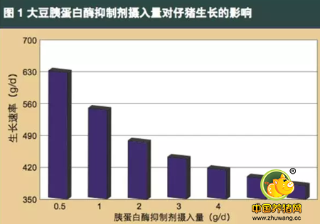 使用大豆配制仔猪饲料的方法是？