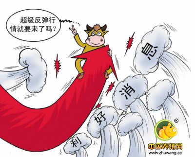 猪价年中大涨，是彻底反弹还是昙花一现？