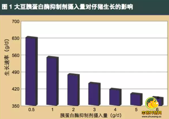 使用大豆配制仔猪饲料的方法是？