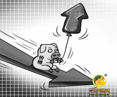 猪价已经结束高速增长 进入新一轮下跌通道了吗？