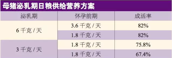 猪老板应该从哪些方面去防止哺乳期的母猪掉膘呢？