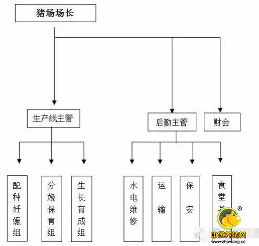 针对万头猪场养猪户该如何管理