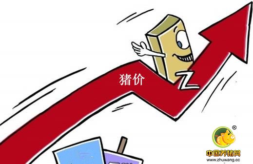 当前需求提振力度不足 猪价在9.2元/斤附近调整