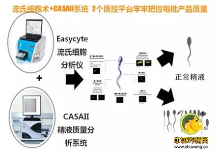 【收藏干货】关于猪精，你了解多少？