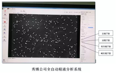 【收藏干货】关于猪精，你了解多少？