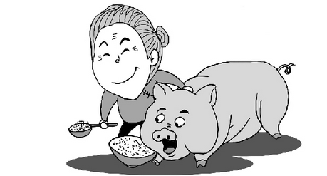 农妇养猪半年赚100万，大姐说贵在坚持