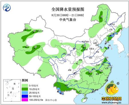 短期内猪价企稳 九月前或保持高位区间震荡