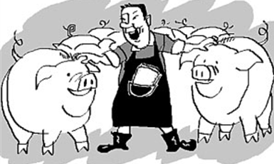 饲料终于跌价了!咱们养猪能省多少钱?