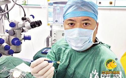 揭秘：猪的眼角膜移植到人的眼睛里，会发生什么？